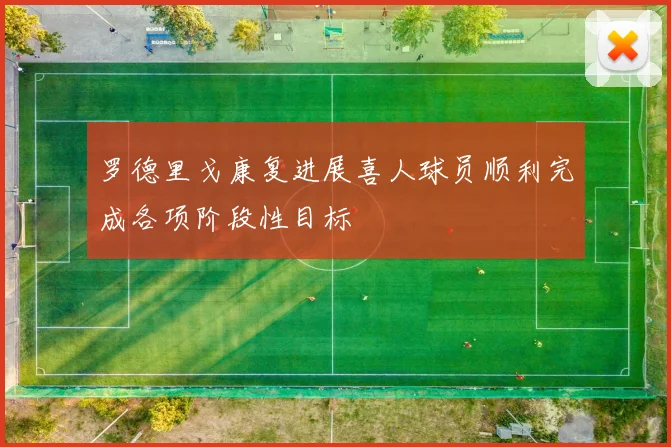 罗德里戈康复进展喜人球员顺利完成各项阶段性目标